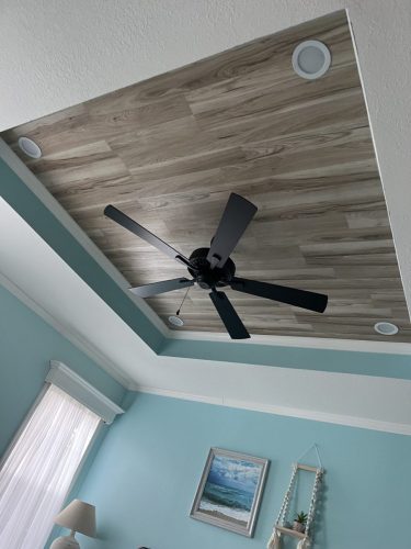 Ceiling fan
